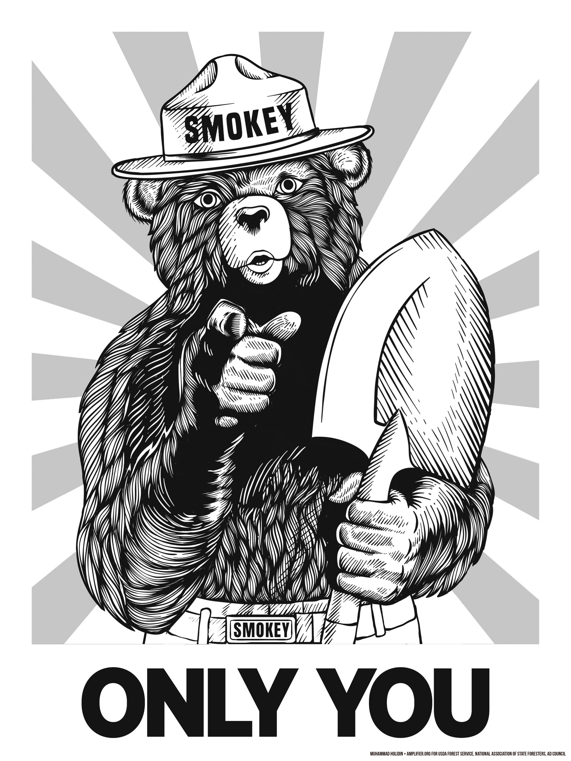 Smokey Bear Amplifier Amplifier