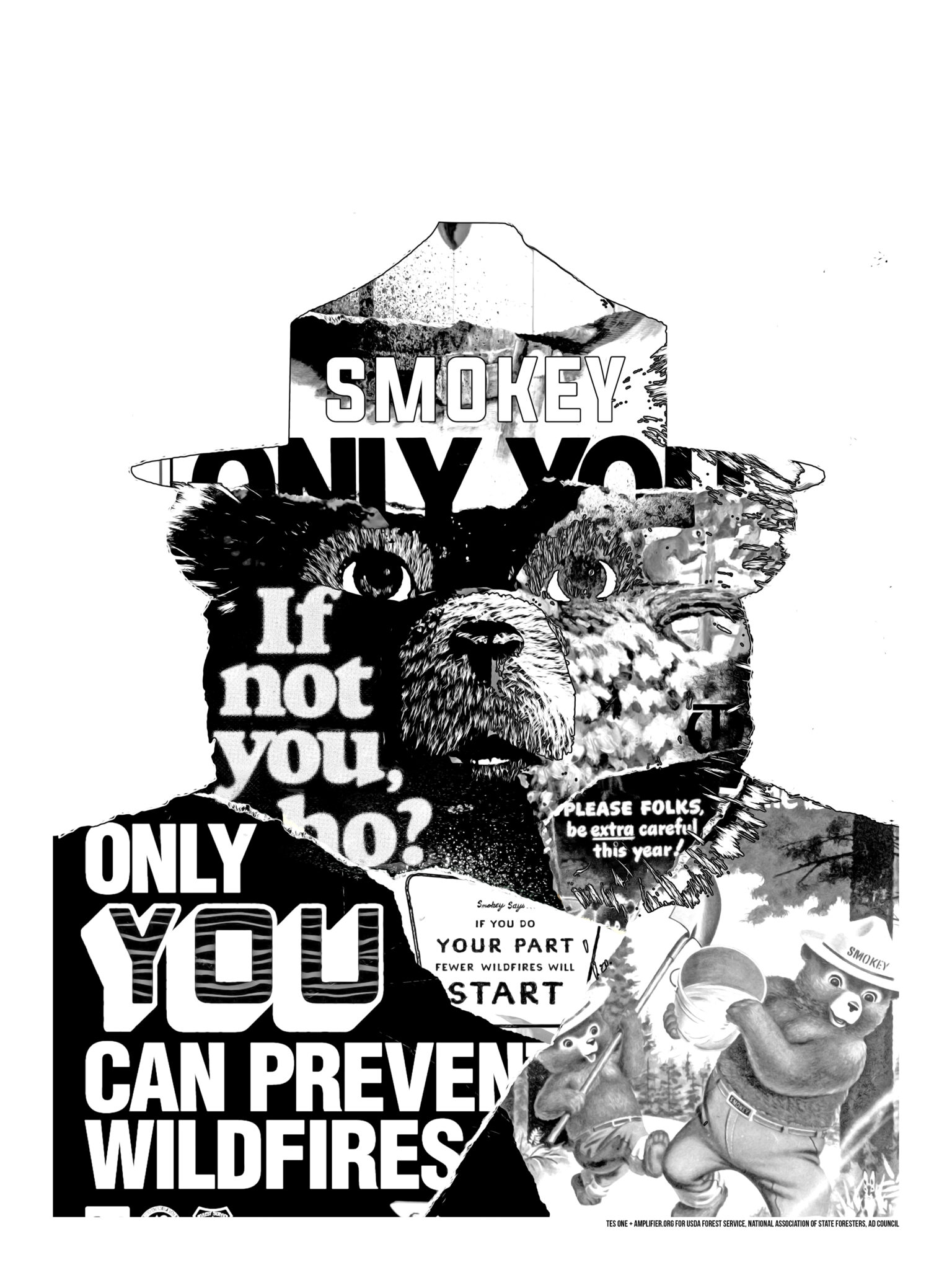 a-history-of-fire-prevention-the-smokey-bear-way-williams-grand